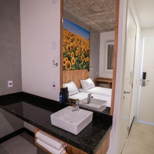 Campos De Holambra Inn Paranapanema Exterior foto